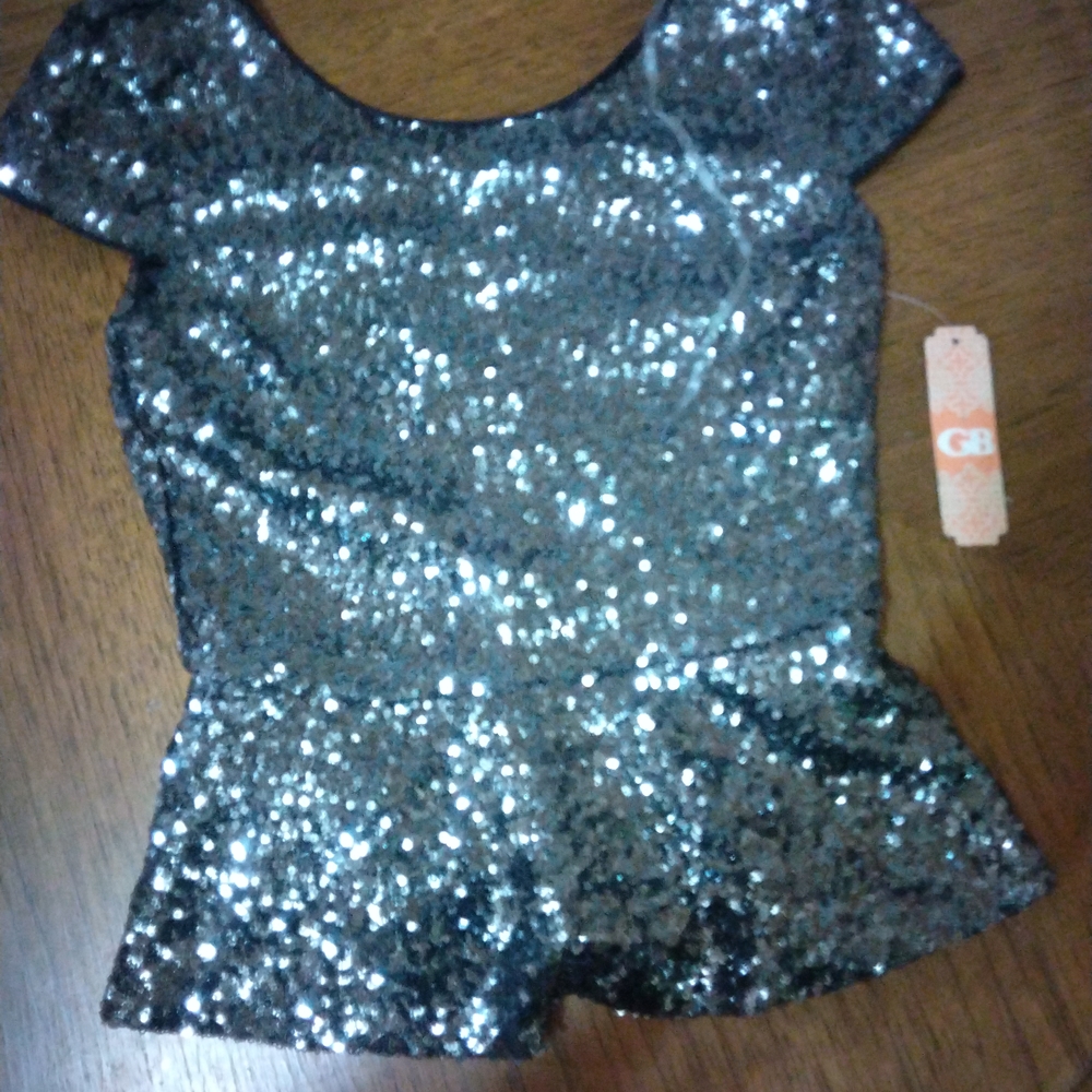 Giani Bernini Glittering Silver Sequin Blouse